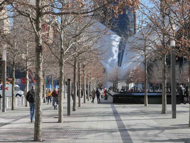 NYC_2020-01-29 13-16-42_P1080538
